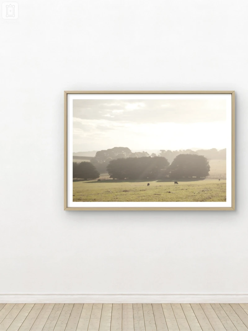 Flinders Evening Mist - Framed