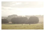 Flinders Evening Mist