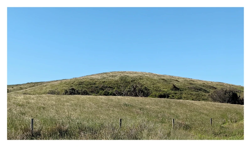 Flinders Grasses - Colour